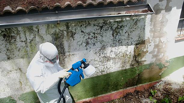 Top rated local Crawl Space Mold Remediation specialists in Dresher, PA